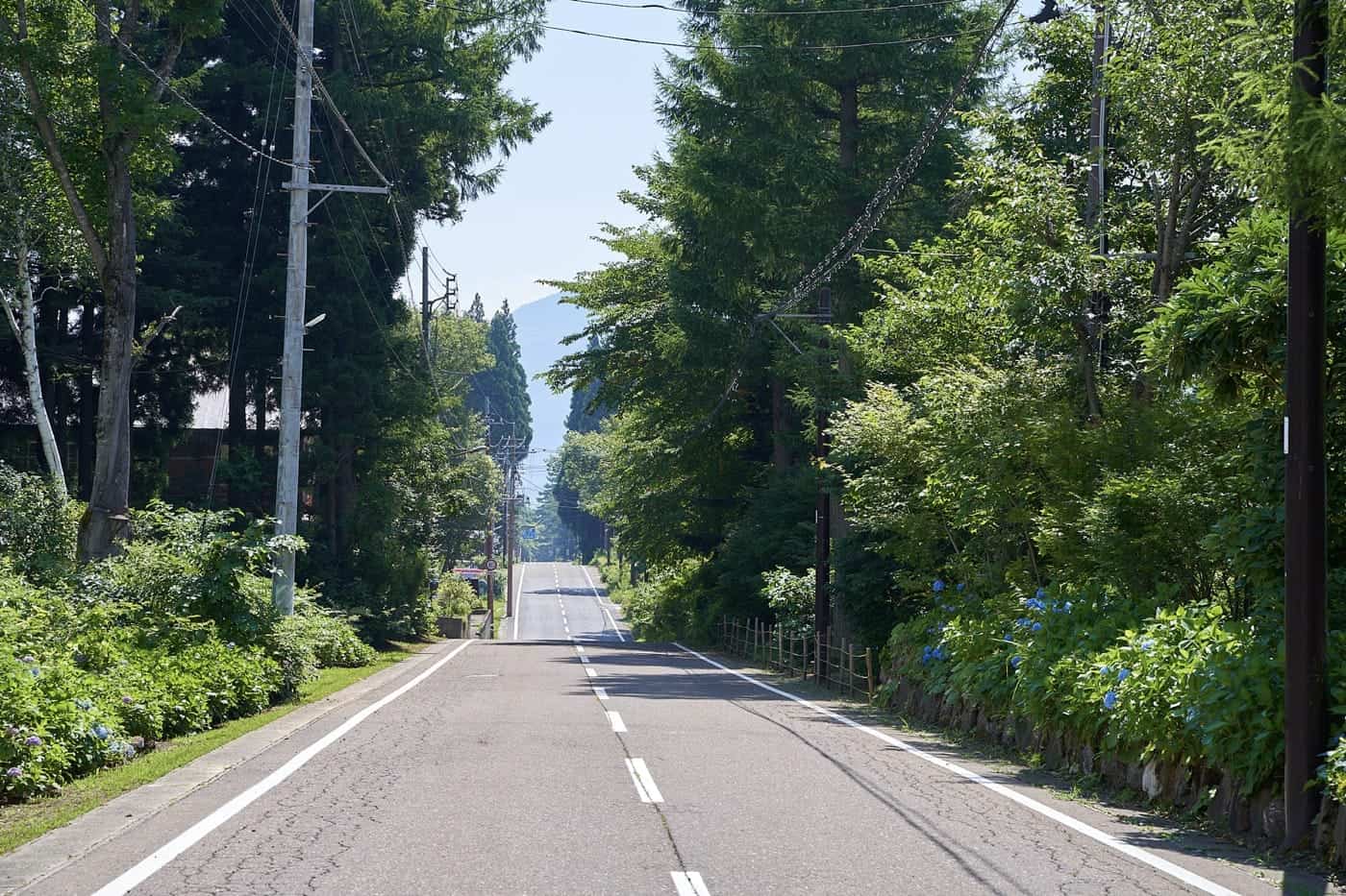 池の平ロードコース