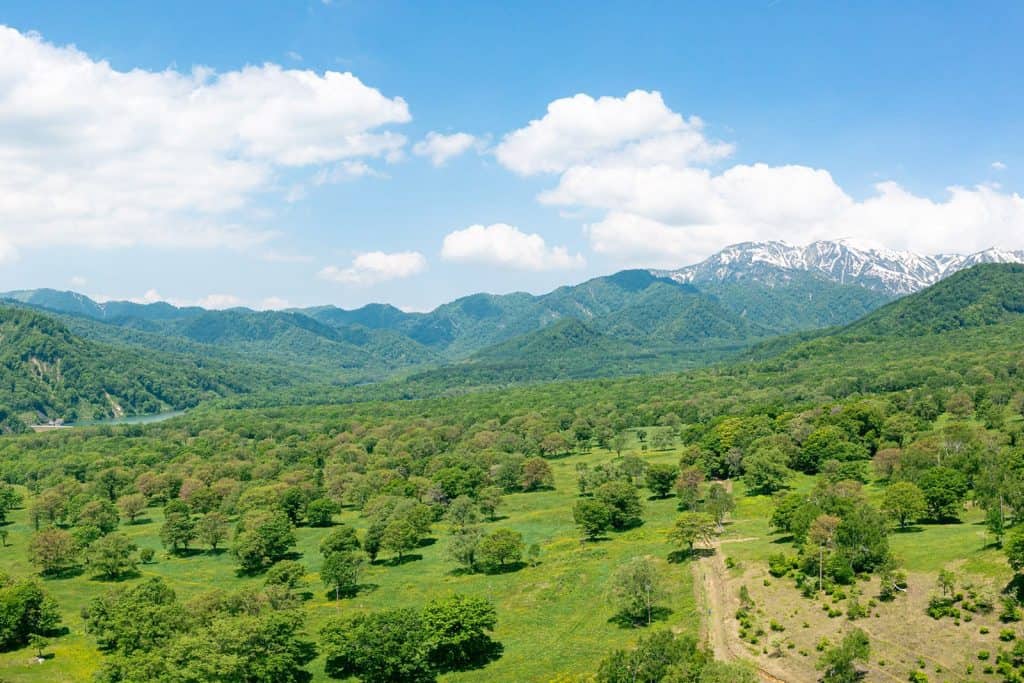 笹ヶ峰高原クロスカントリーコース